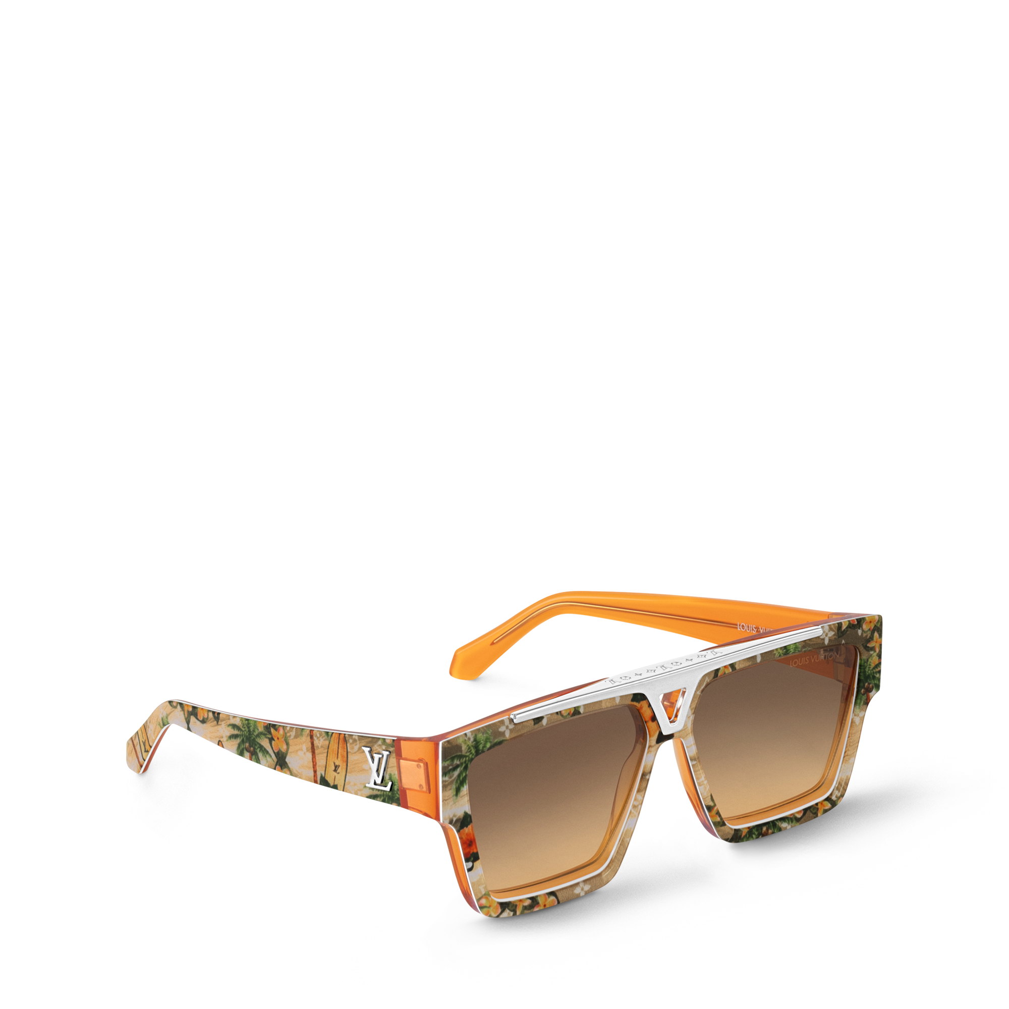 1․1 Evidence Surfin
