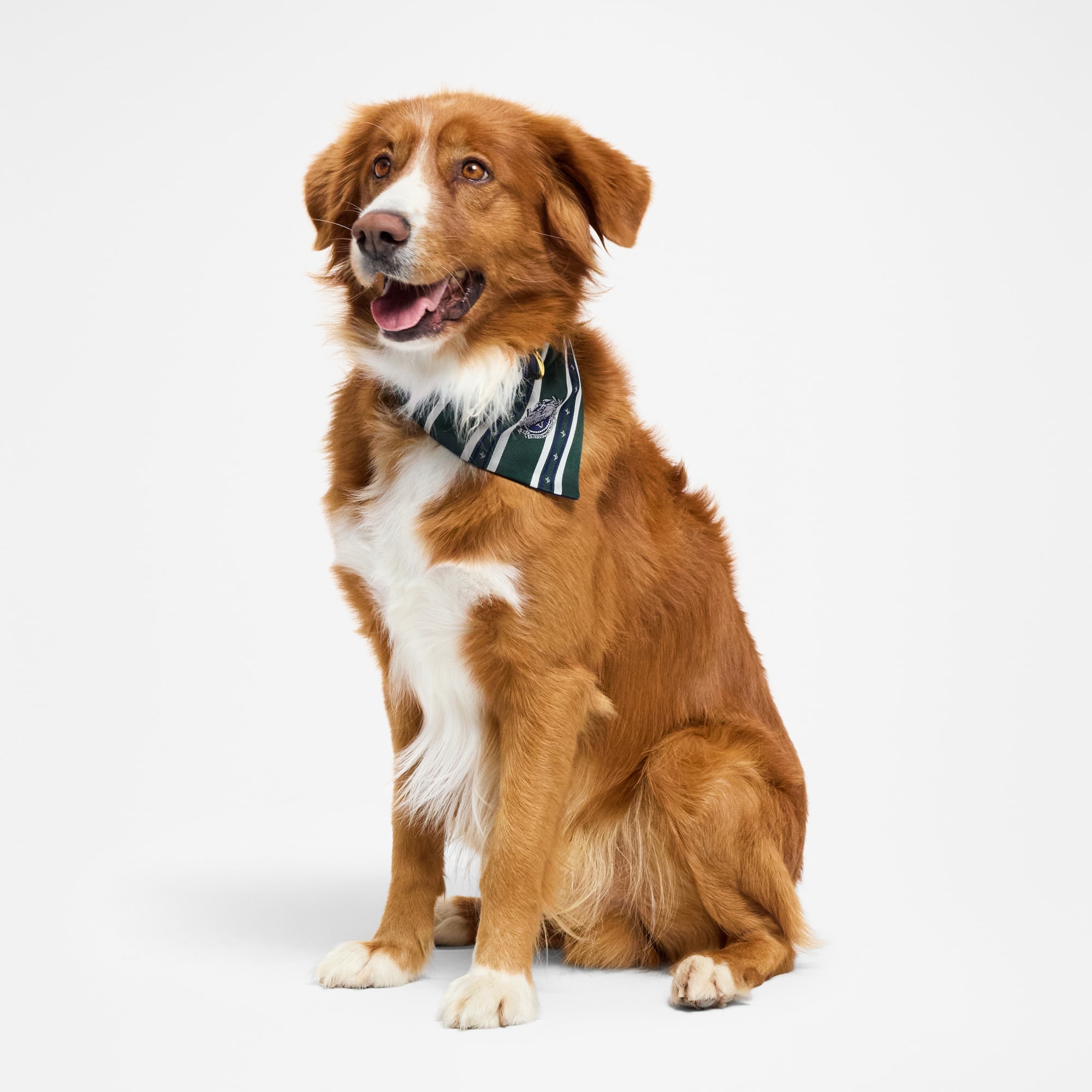 Bandana MM für Hunde  Trunks, Reisen und Wohnen Accessoires für Haustiere } | LOUIS VUITTON (Zoom)