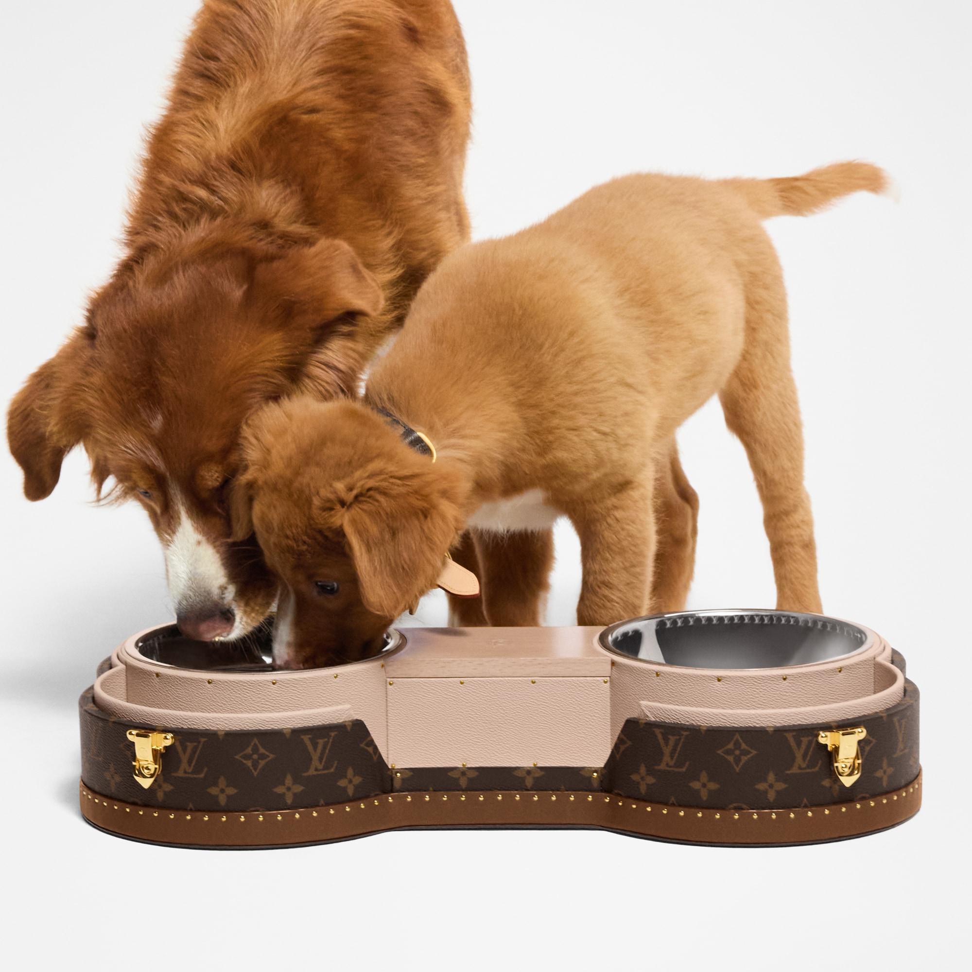 Bone Trunk Weitere Monogram Varianten Trunks, Reisen und Wohnen Trunks und Koffer Kleine Trunks | LOUIS VUITTON (Zoom)