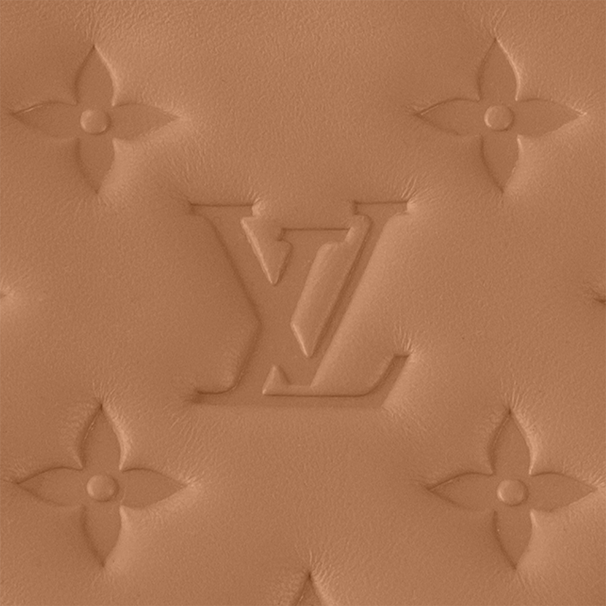 Coussin PM Coussin Damen Handtaschen Alle Handtaschen | LOUIS VUITTON (Zoom)