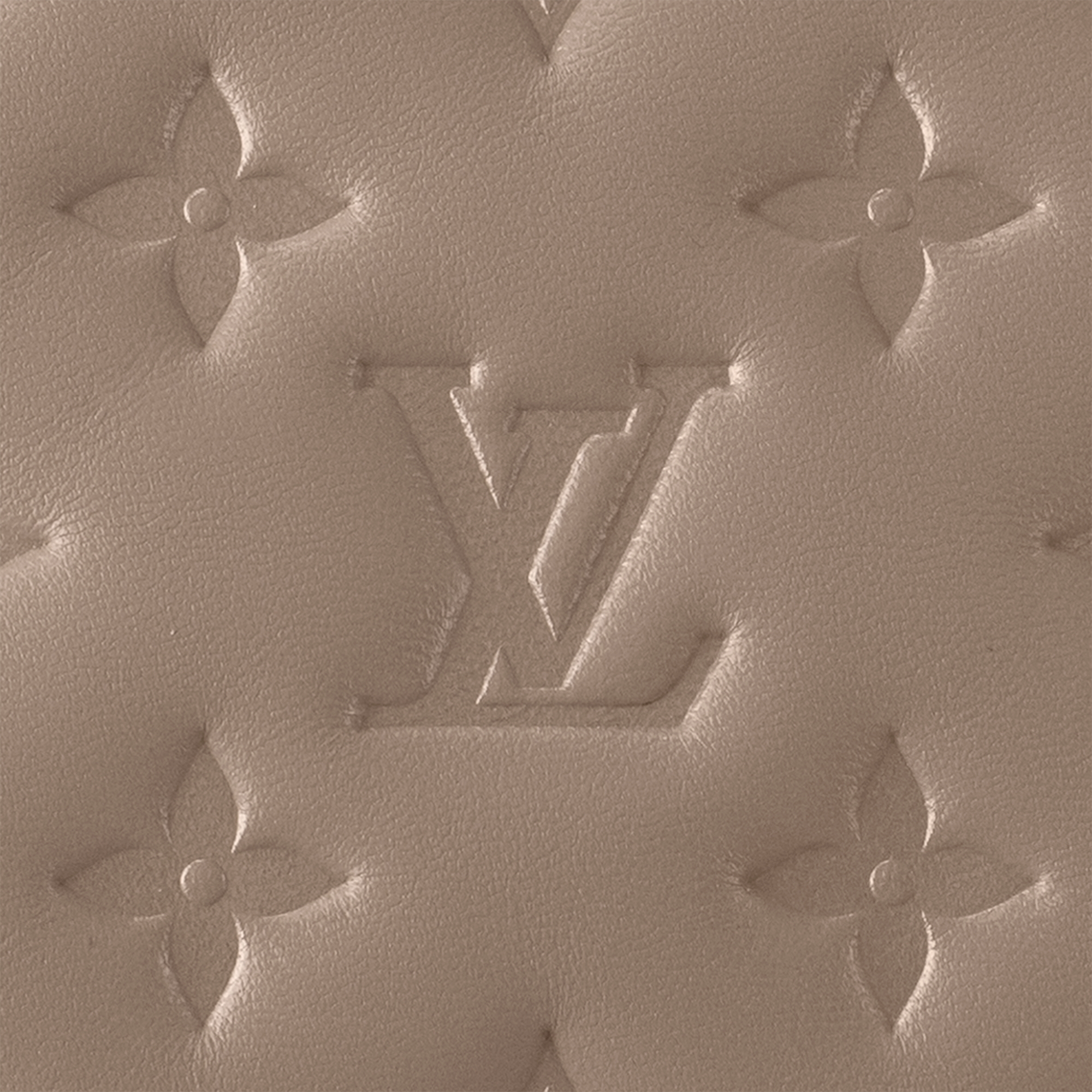 Coussin PM Coussin Damen Handtaschen Alle Handtaschen | LOUIS VUITTON (Zoom)