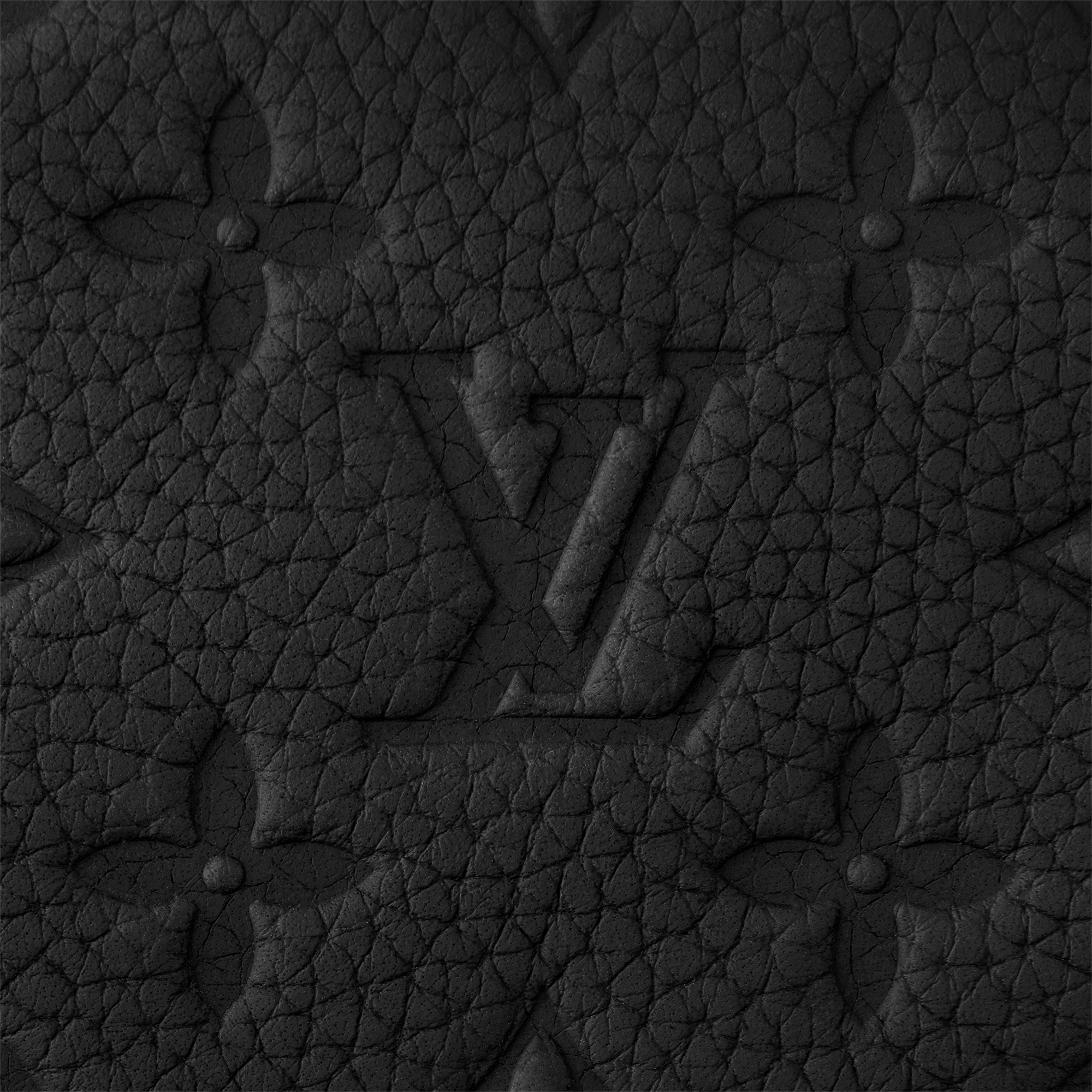 Dopp Kit Monogram Canvas & Taurillon Leder Herren Reisegepäck Reiseaccessoires | LOUIS VUITTON (Zoom)