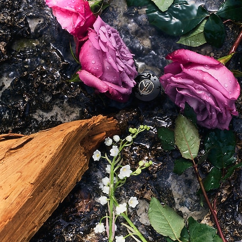 eLVes Louis Vuitton Düfte und Kosmetik Alle Düfte } | LOUIS VUITTON (Zoom)