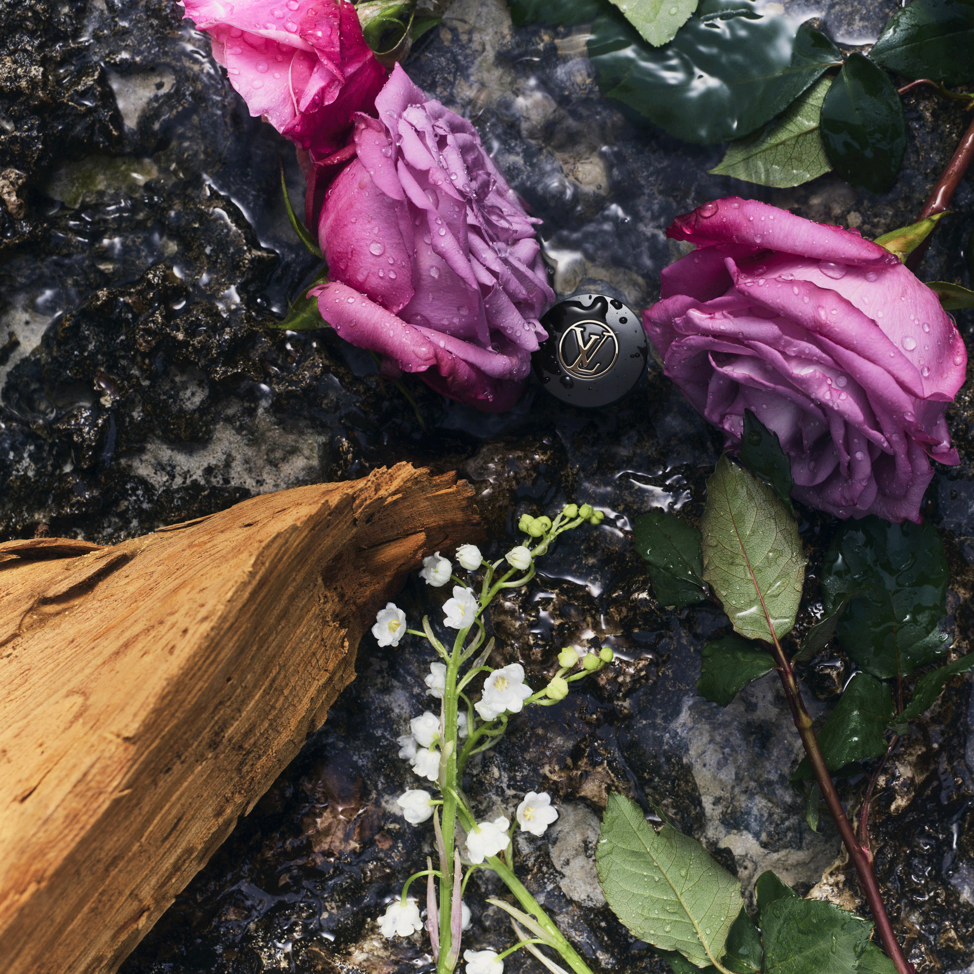 eLVes Louis Vuitton  Düfte und Kosmetik Kollektionen Alle Düfte | LOUIS VUITTON (Zoom)