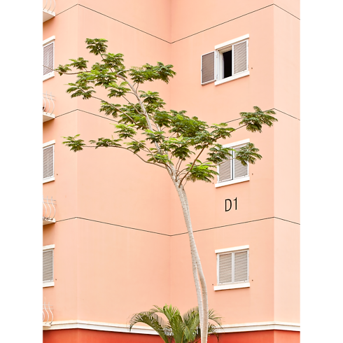 Fashion Eye Kilamba Trunks, Reisen und Wohnen Bücher und Schreibaccessoires Fashion Eye | LOUIS VUITTON (Zoom)