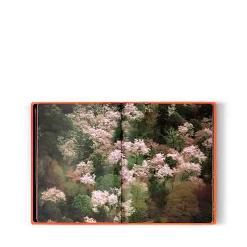 Fashion Eye Silk Road Trunks, Reisen und Wohnen Bücher und Schreibaccessoires Fashion Eye | LOUIS VUITTON (Zoom)