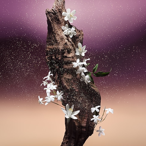 Fleur du Dèsert Düfte und Kosmetik Kollektionen Düfte für Herren | LOUIS VUITTON (Zoom)