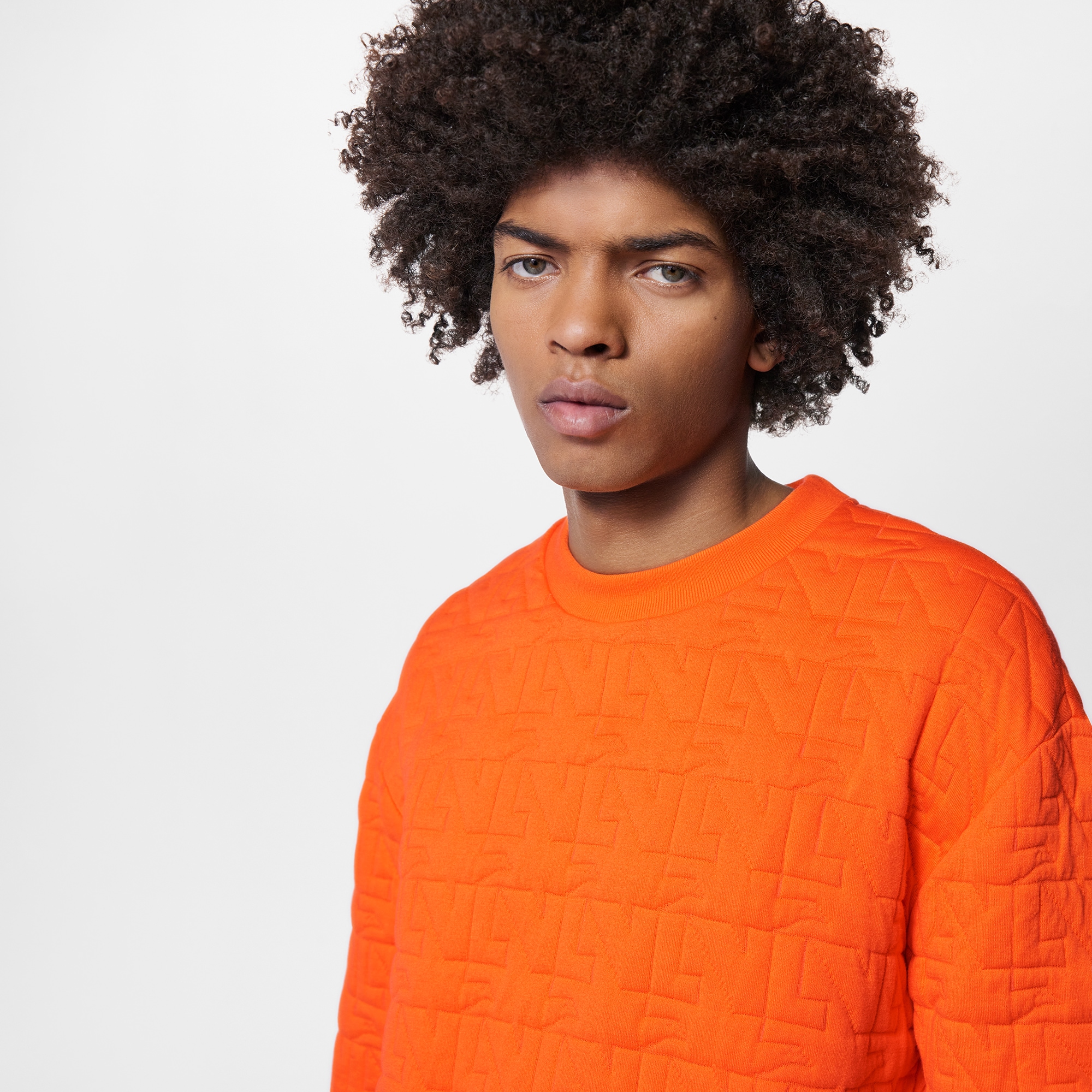 Gestepptes Sweatshirt mit LV Dove-Motiv  Herren Ready to Wear Strick und Sweatshirts | LOUIS VUITTON (Zoom)