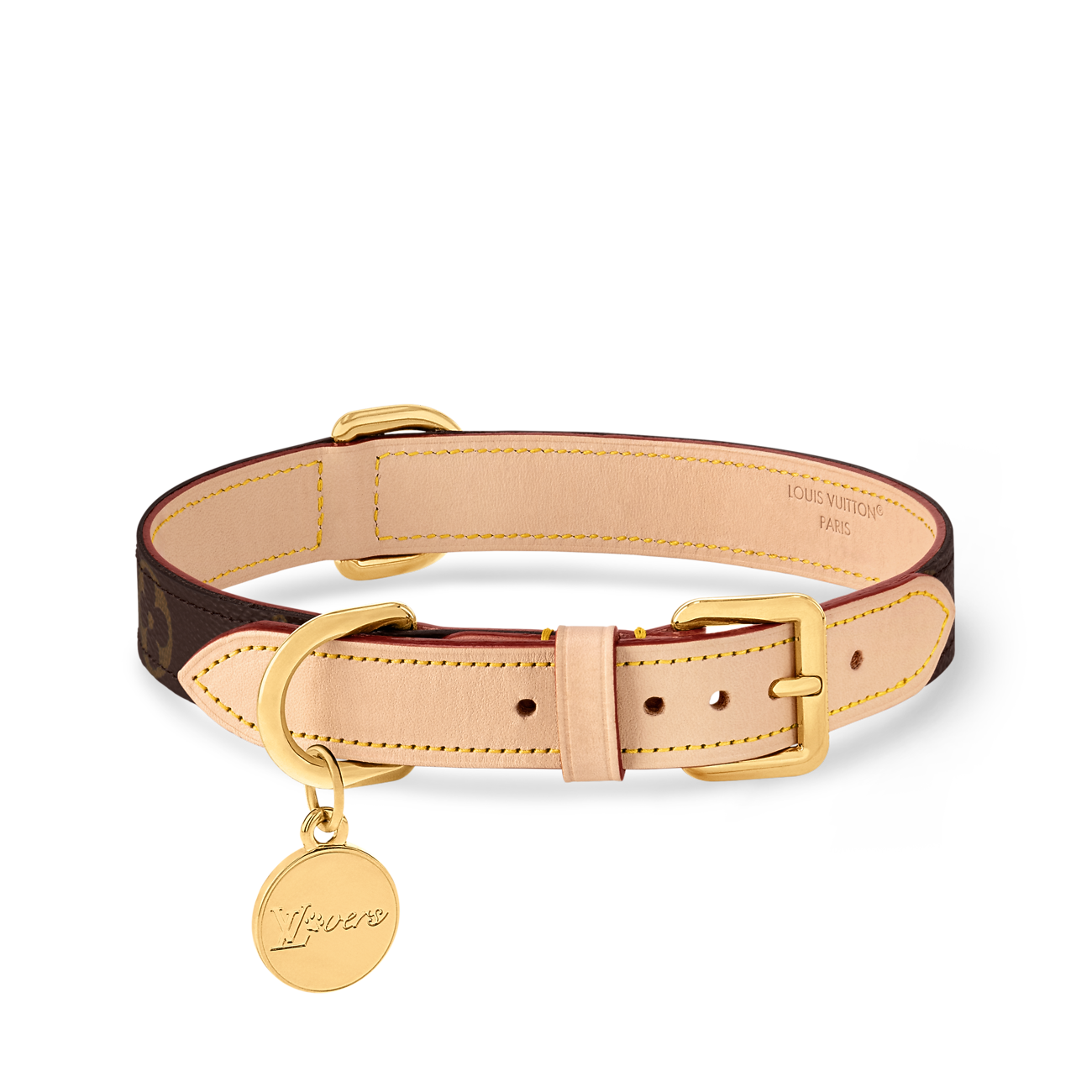 Petface Hundehalsband Aus Nylon – Gepunktet, Grau, Verstellbar – Für Mittelgroße Hunde