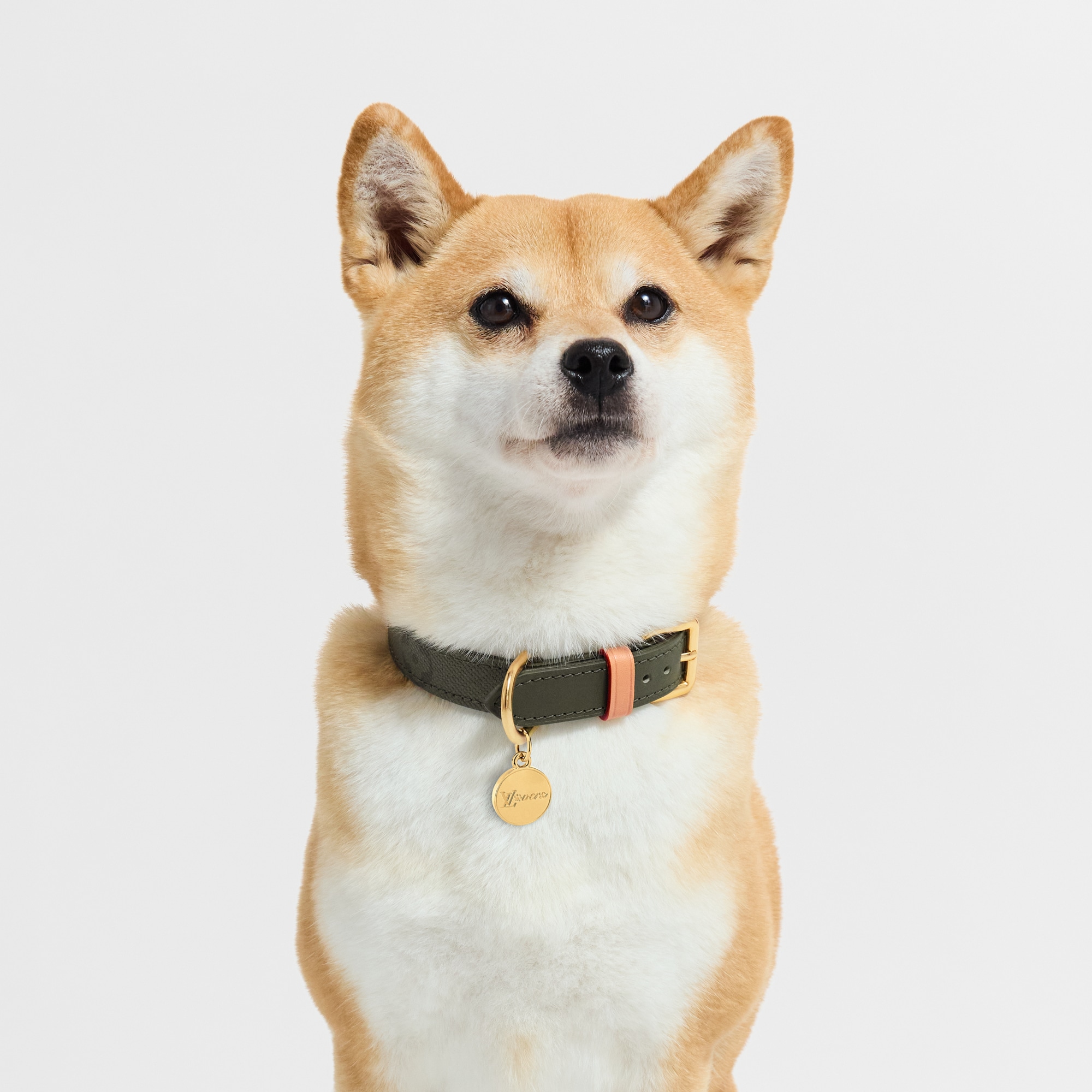 Hundehalsband PM S00 - Accessoires fr Haustiere GI1488 | LOUIS VUITTON