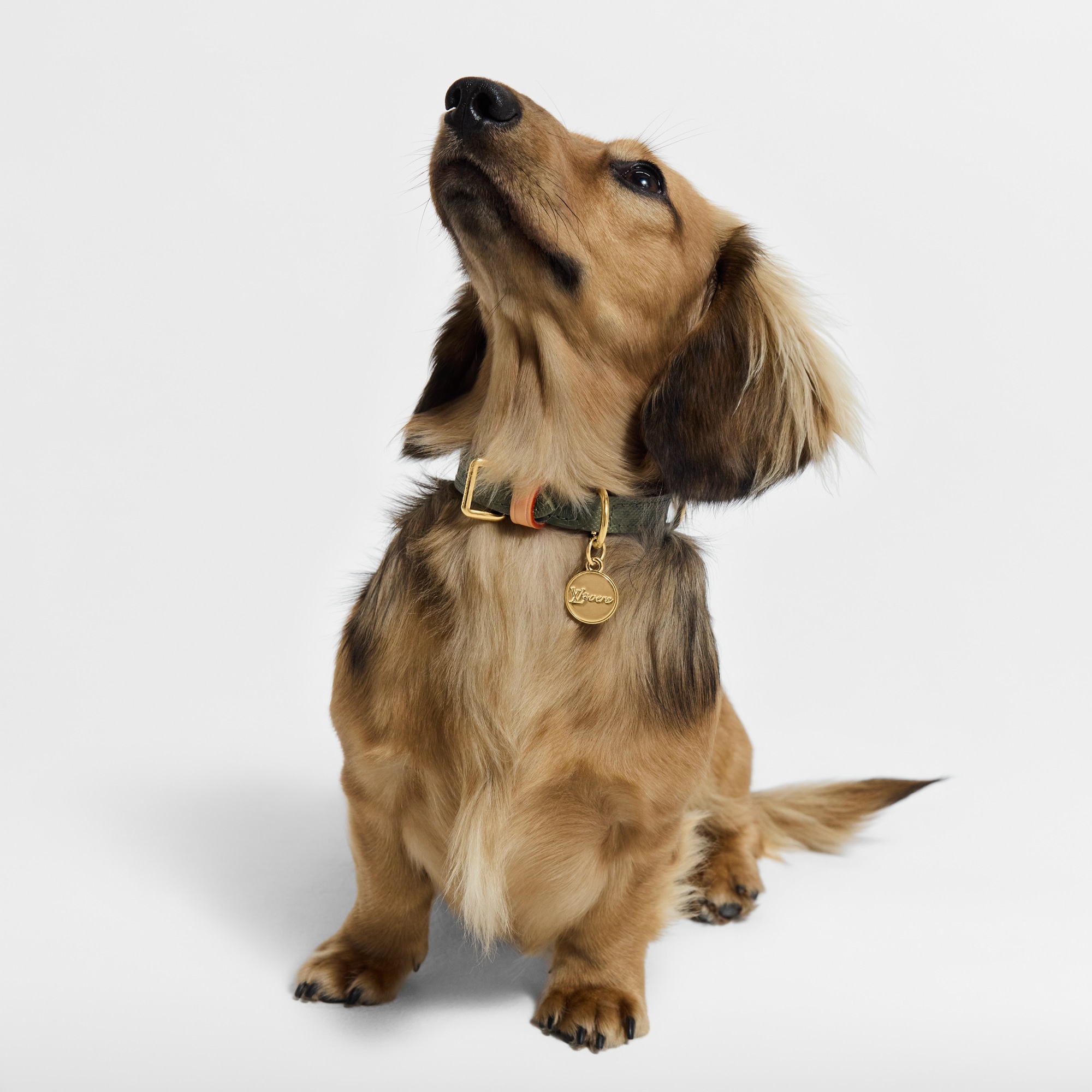 Hundehalsband XS S00 - Accessoires fr Haustiere GI1489 | LOUIS VUITTON
