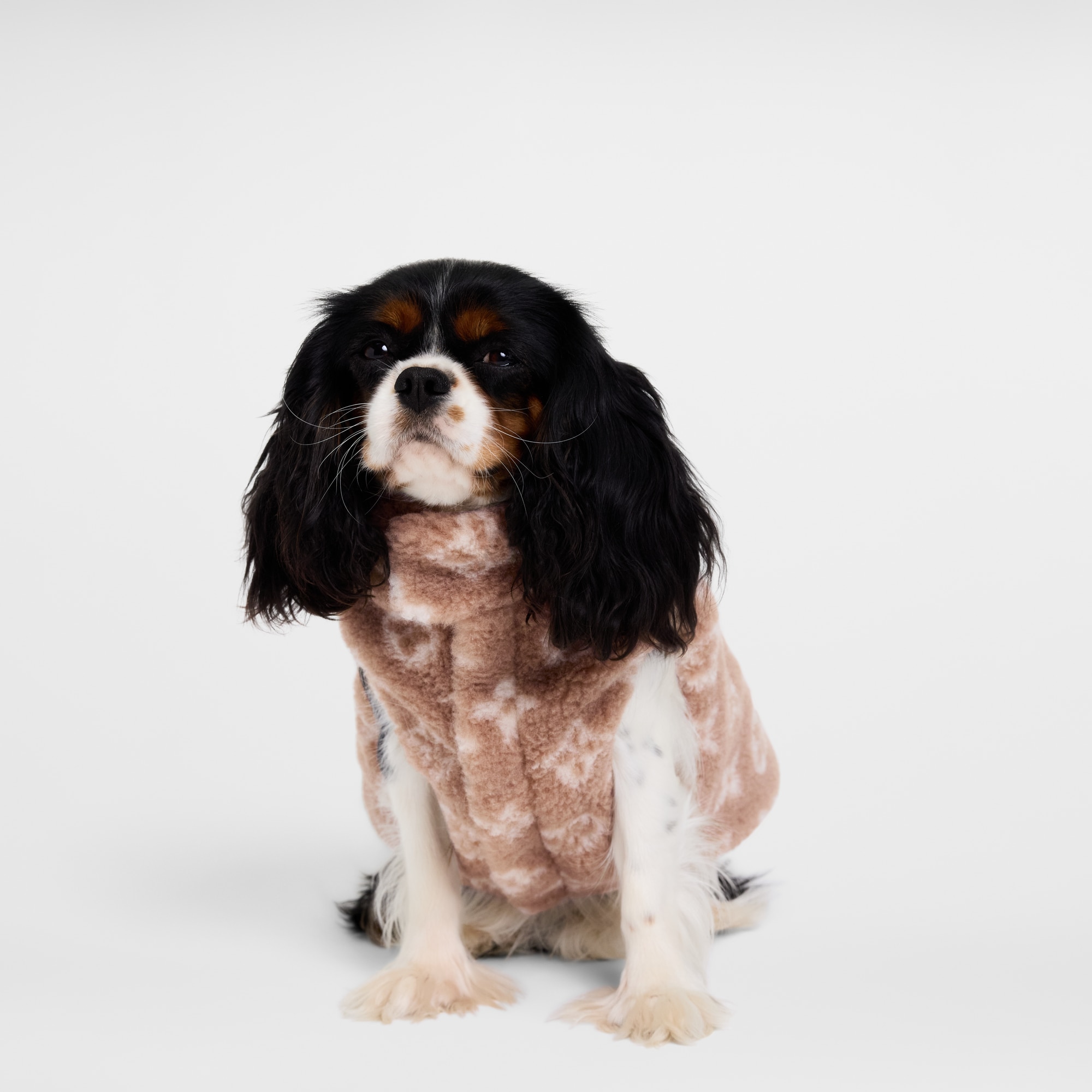 Jacke PM aus Fleece für Hunde S00 Trunks, Reisen und Wohnen Accessoires für Haustiere } | LOUIS VUITTON (Zoom)