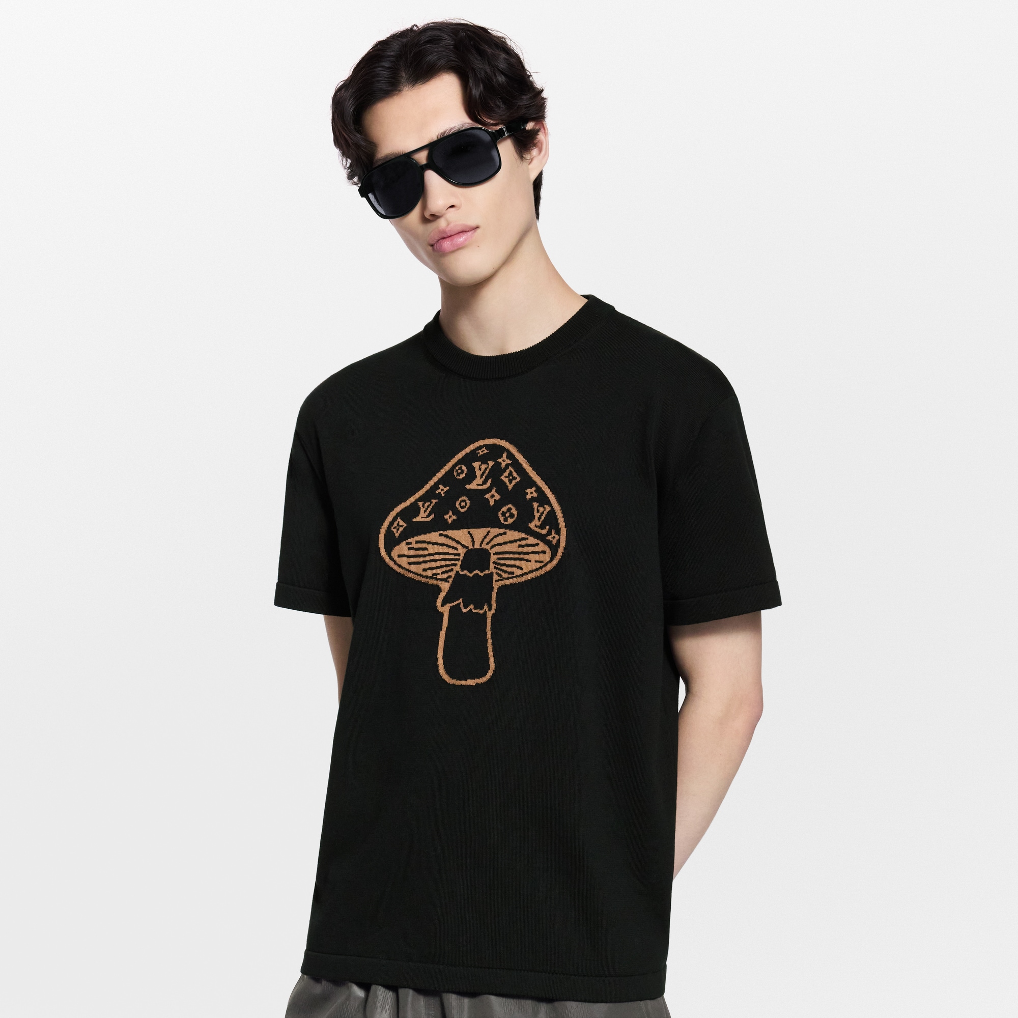 Kurzarm-Rundhalspullover mit Intarsie  Herren Ready to Wear Vollständige Ready to Wear | LOUIS VUITTON (Zoom)