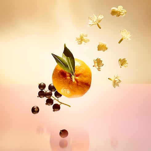 Le Jour Se Lève Düfte und Kosmetik Kollektionen Düfte für Damen | LOUIS VUITTON (Zoom)