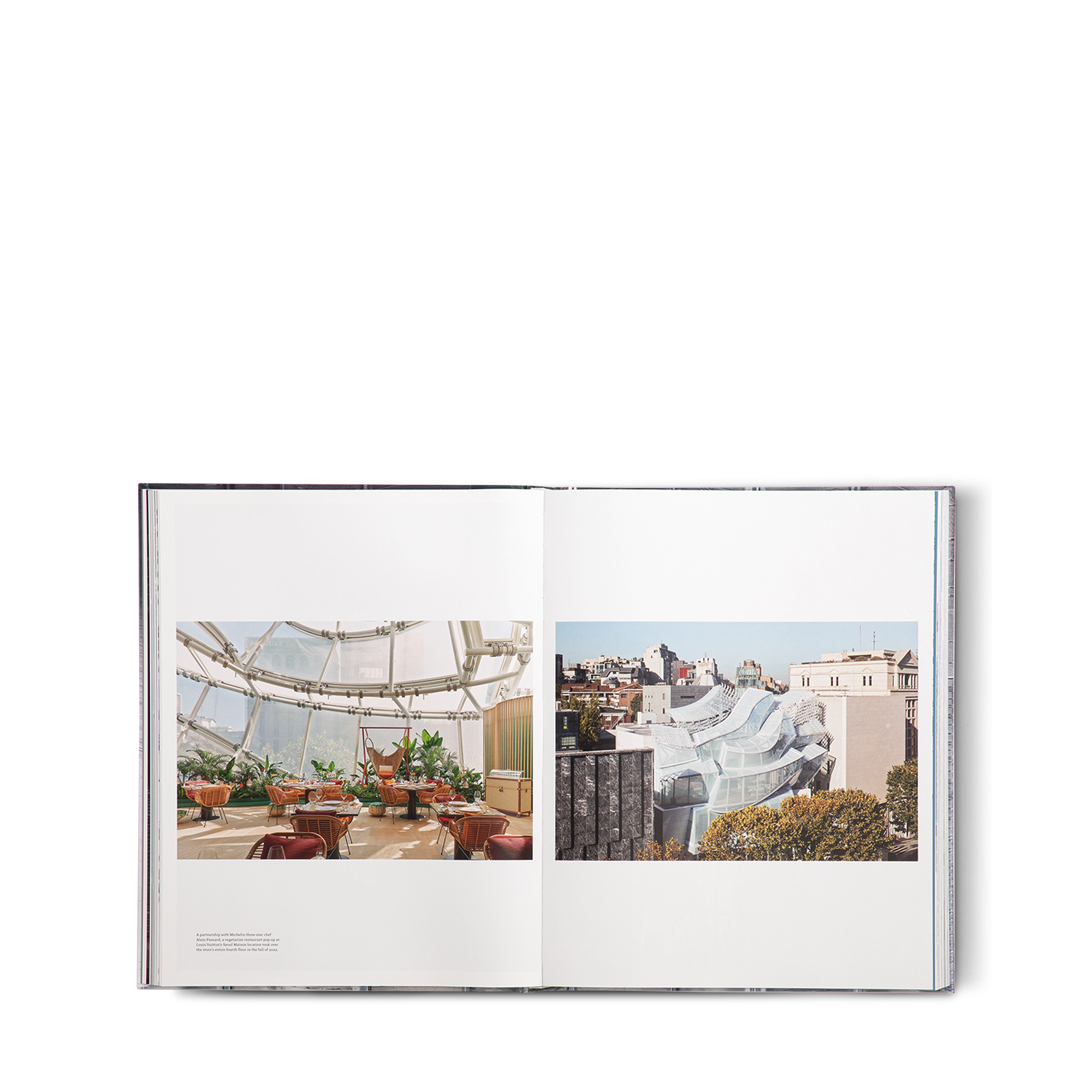 Louis Vuitton Skin: Architecture of Luxury Singapur  Trunks, Reisen und Wohnen Bücher und Schreibaccessoires Bücher | LOUIS VUITTON (Zoom)