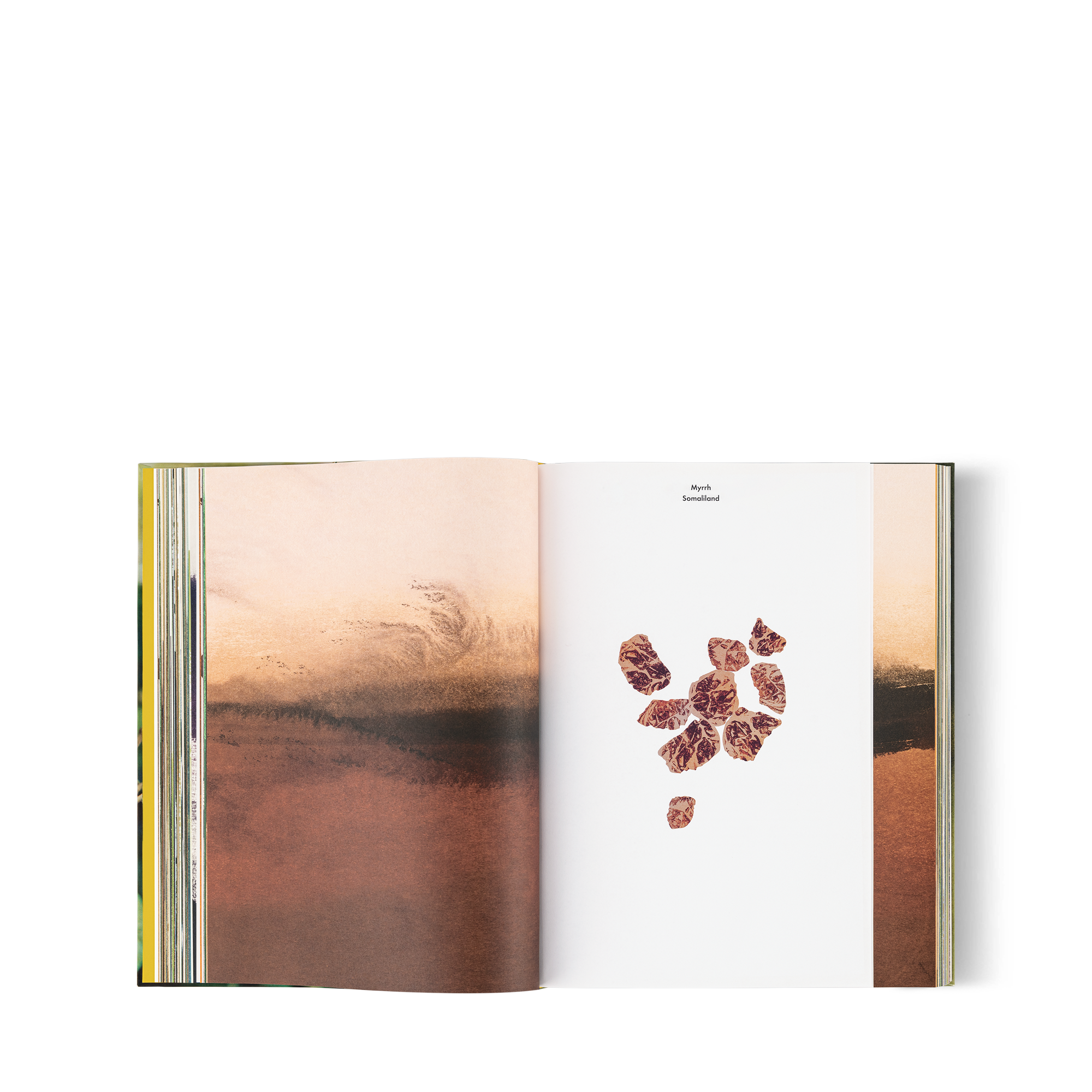 Louis Vuitton: A Perfume Atlas, englische Ausgabe  Trunks, Reisen und Wohnen Bücher und Schreibaccessoires Bücher | LOUIS VUITTON (Zoom)