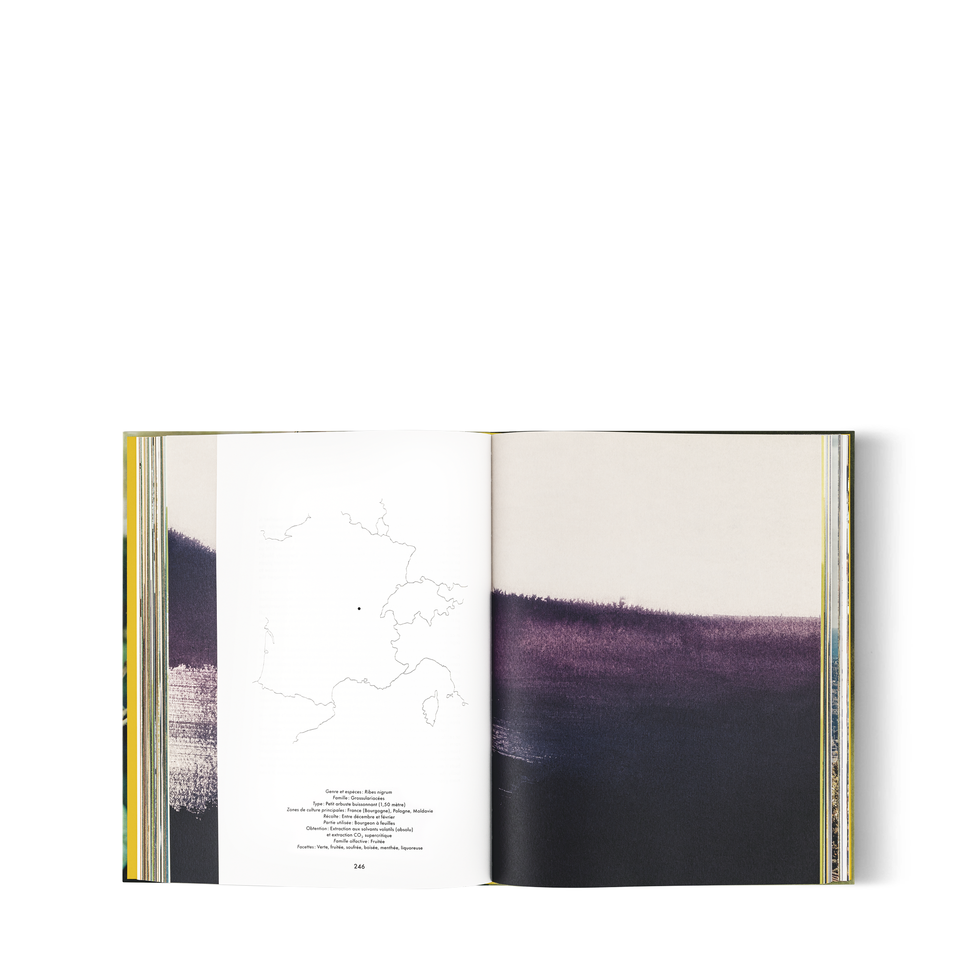 Louis Vuitton: A Perfume Atlas, französische Ausgabe  Trunks, Reisen und Wohnen Bücher und Schreibaccessoires Bücher | LOUIS VUITTON (Zoom)