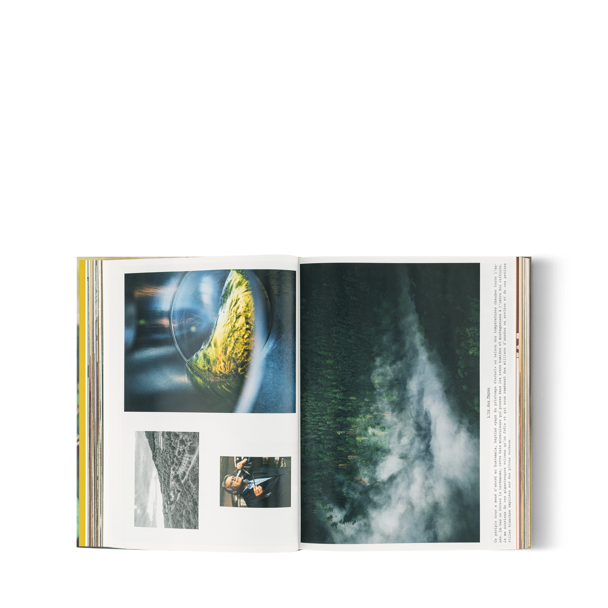 Louis Vuitton: A Perfume Atlas, französische Ausgabe  Trunks, Reisen und Wohnen Bücher und Schreibaccessoires Bücher | LOUIS VUITTON (Zoom)