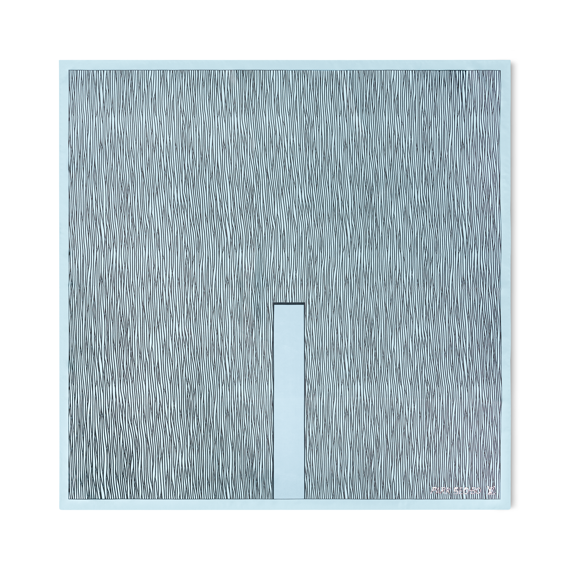 undefined (Zoom)
