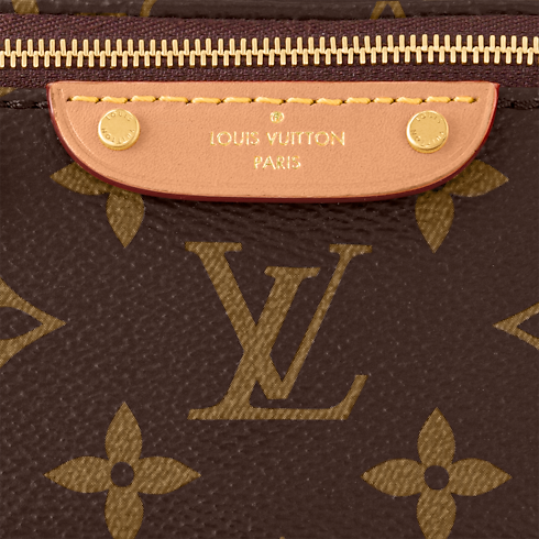 Mini Bumbag Monogram Canvas Damen Handtaschen Alle Handtaschen | LOUIS VUITTON (Zoom)
