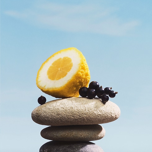 Pacific Chill Düfte und Kosmetik Alle Düfte } | LOUIS VUITTON (Zoom)