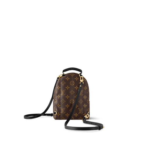 Palm Springs Mini Monogram Canvas Damen Handtaschen Alle Handtaschen | LOUIS VUITTON (Zoom)