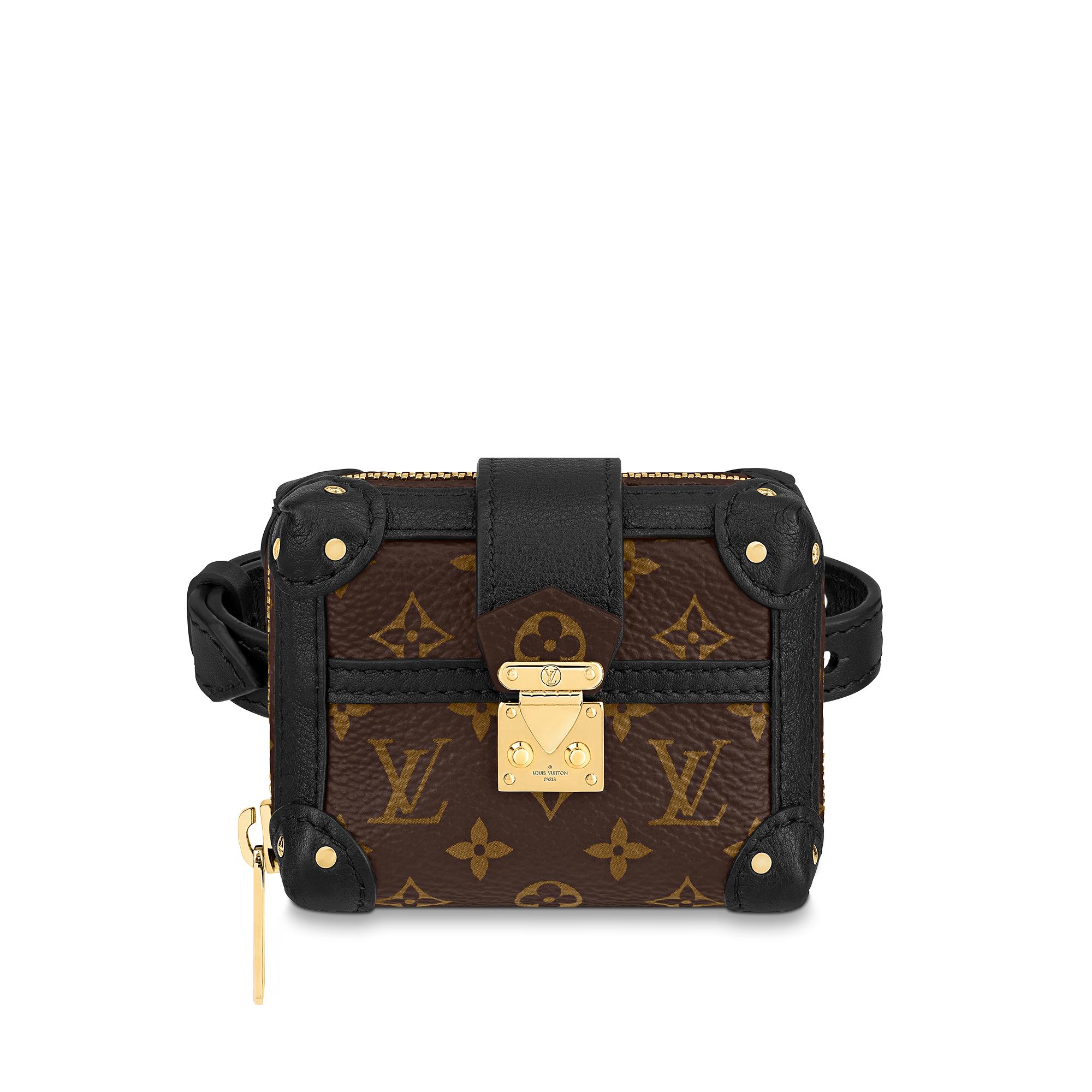 louis vuitton monogram petite malle