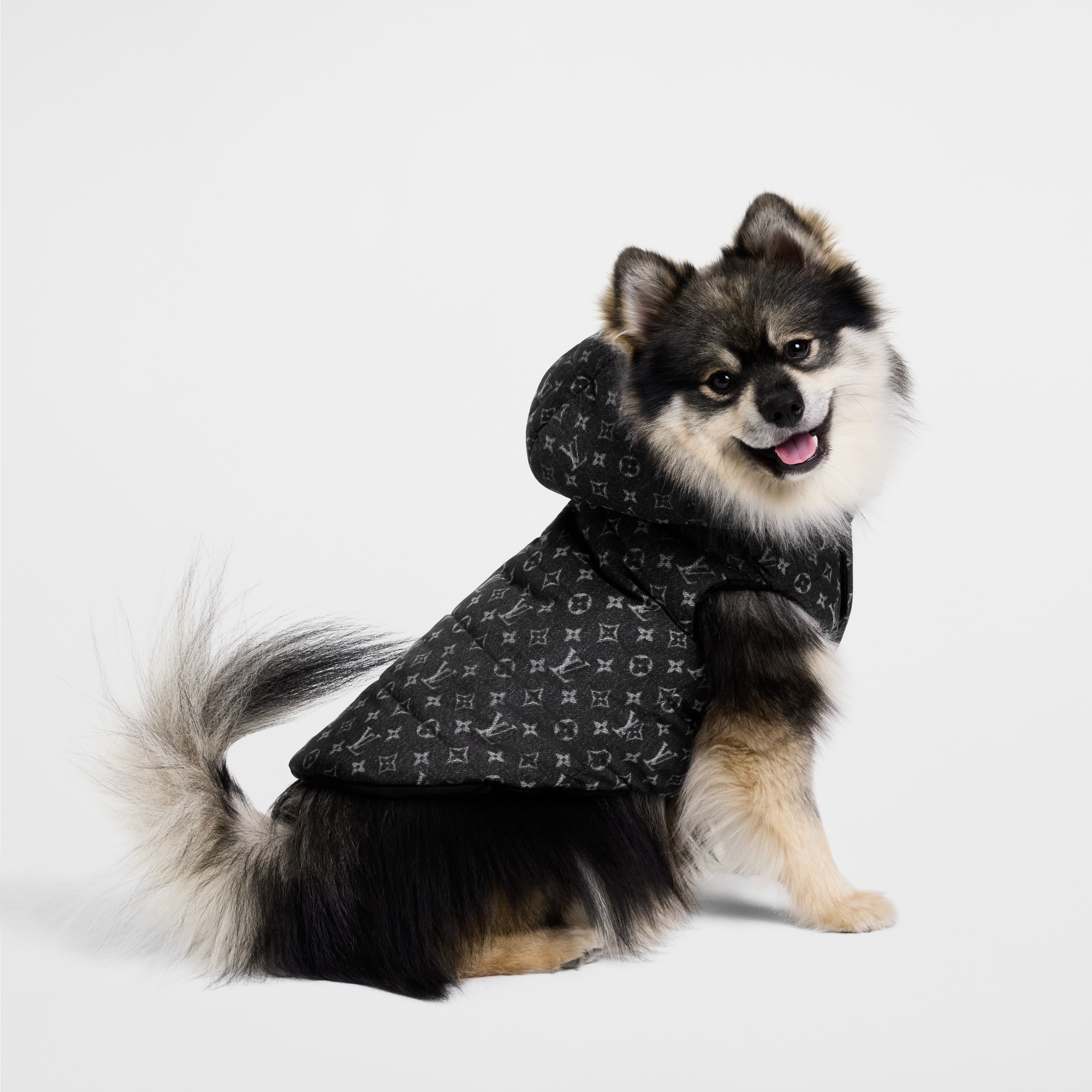 Pufferjacke PM für Hunde S00 Trunks, Reisen und Wohnen Accessoires für Haustiere } | LOUIS VUITTON (Zoom)