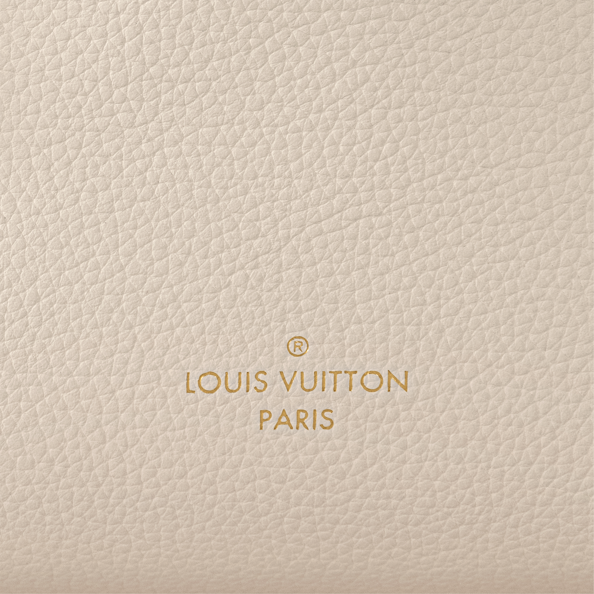 Side Trunk PM Fashion Leather Damen Handtaschen Alle Kollektionen | LOUIS VUITTON (Zoom)