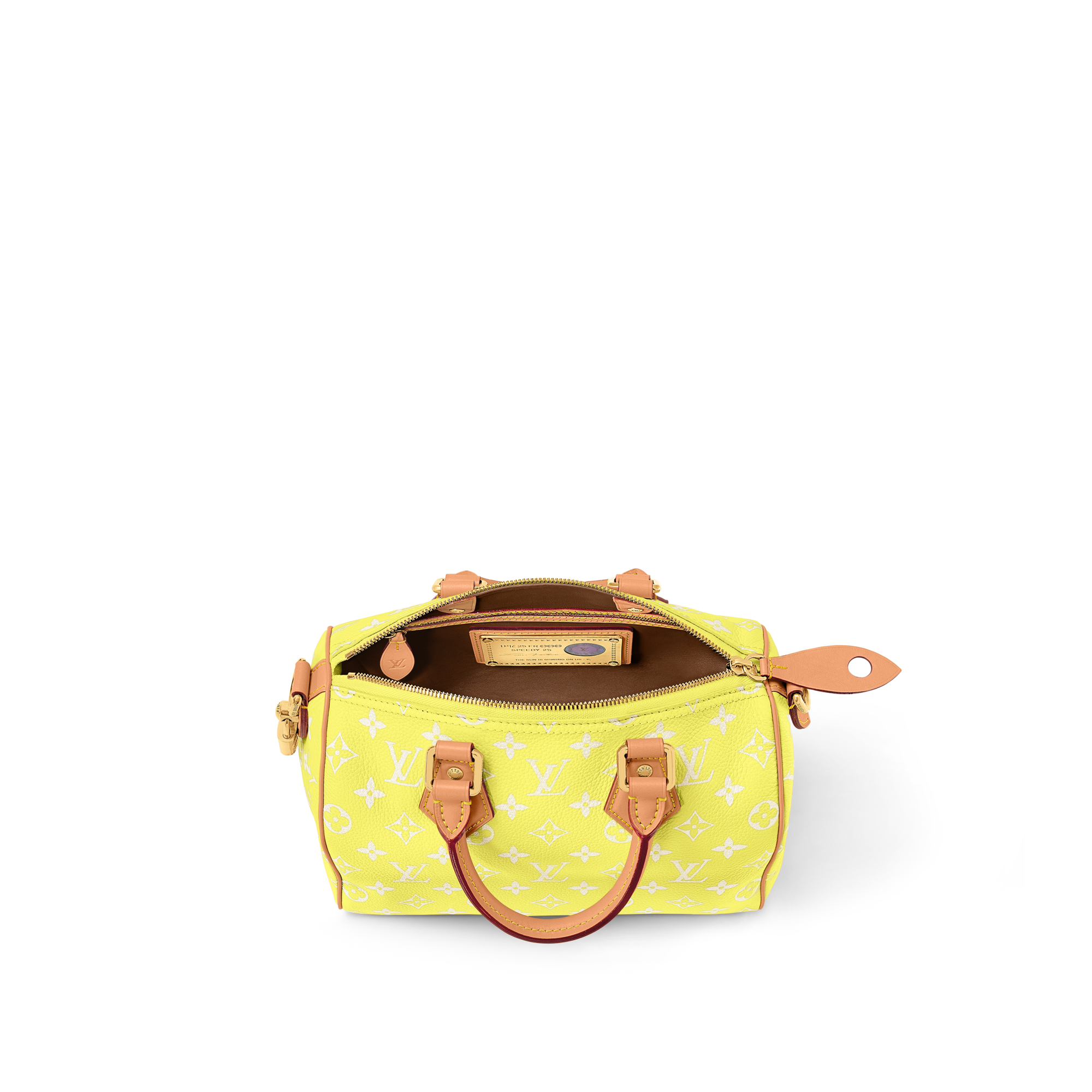 Speedy P9 25 mit Schulterriemen H40 Les Extraordinaires Lederwaren und Reisegepäck Speedy P9 | LOUIS VUITTON (Zoom)