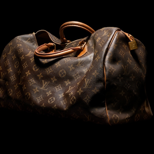 Speedy Trunk 20 Autres Toiles Monogram Taschen und Kleinlederwaren Damen Handtaschen LV Ikonen | LOUIS VUITTON