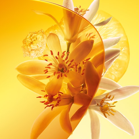 Sun Song Düfte und Kosmetik Kollektionen Düfte für Herren | LOUIS VUITTON (Zoom)