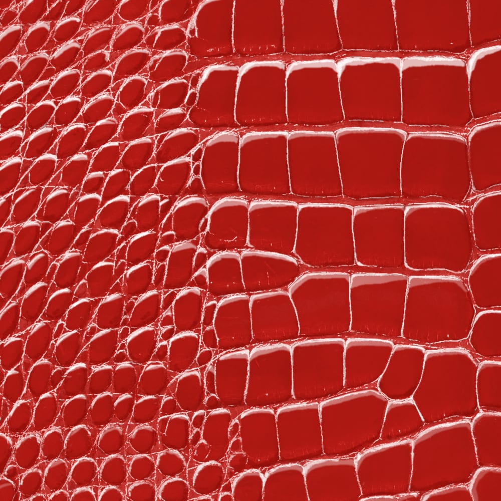 Twist Mini Chain Crocodilien Brillant Les Extraordinaires Personalisierung Hidden personalization products | LOUIS VUITTON (Zoom)