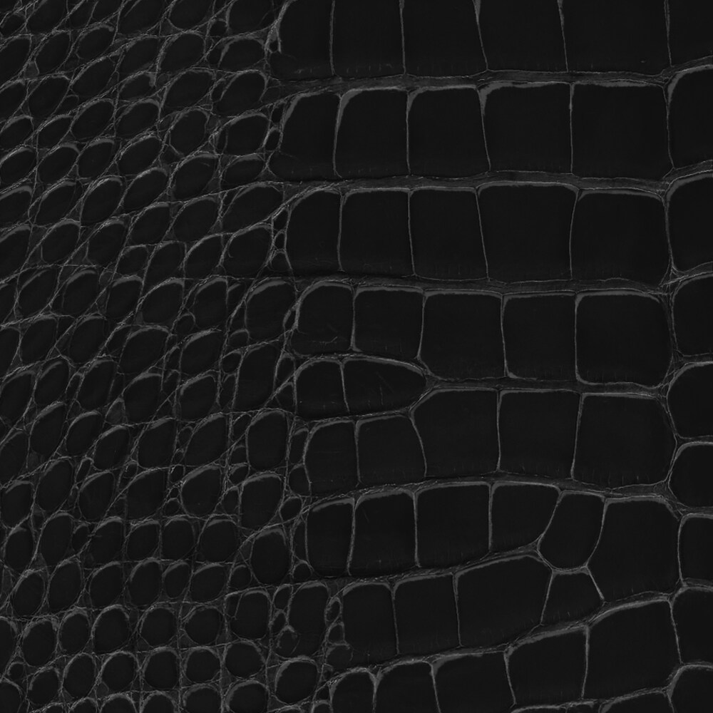 Zippy Geldbörse mit Hängeschloss Crocodilien Mat Les Extraordinaires Personalisierung Hidden personalization products | LOUIS VUITTON (Zoom)